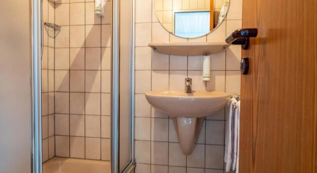 Одноместный номер Standard Mike‘s Mosel Lodge