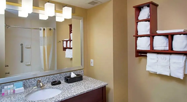 Dwuosobowy suite 1 sypialnia Hampton Inn Cornelia
