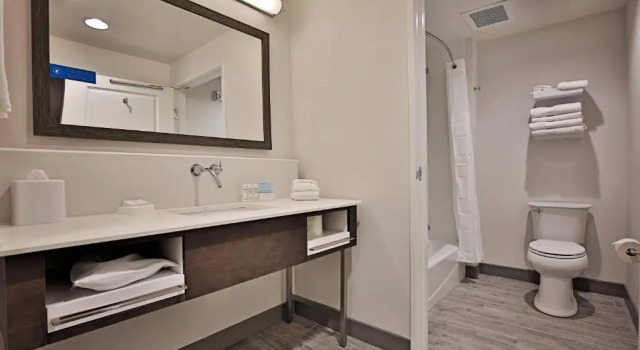 Двухместная студия Hampton Inn & Suites Asheville Biltmore Area