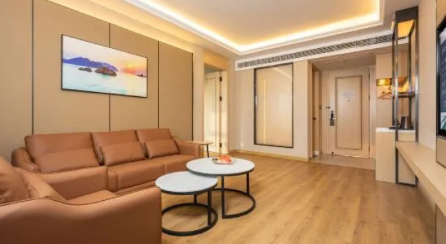 Люкс Superior Vienna International Hotel (Luzhou Lumen Avenue)