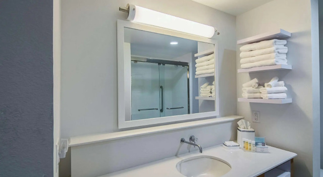 Четырёхместный номер Standard Hampton Inn & Suites-Dallas/Richardson