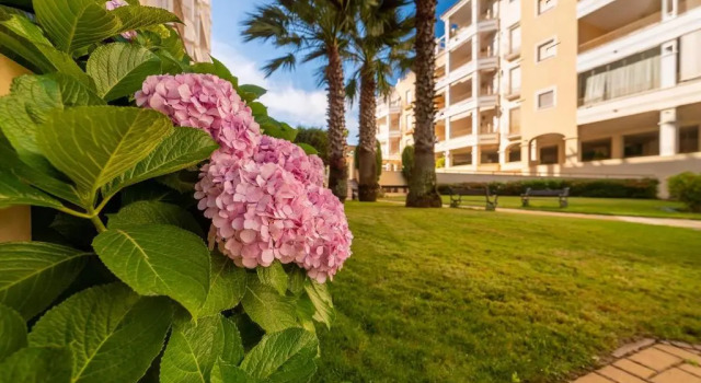 Huoneisto Apartamentos Costaluz Las Dunas