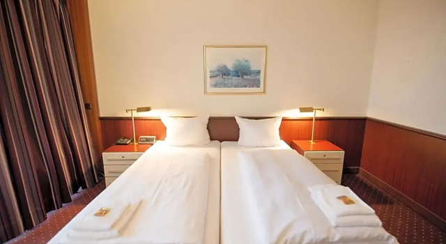 Номер Standard HOTEL IM PARK