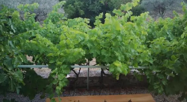 Secluded House with Amazing View And Swimming Pool, Забронировать Отель Бюи-ле-Баронь Drôme Provençale, рядом с Maison des plantes aromatiques et medicinales