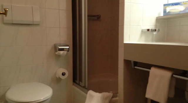 Номер Standard Hotel Bergheimat