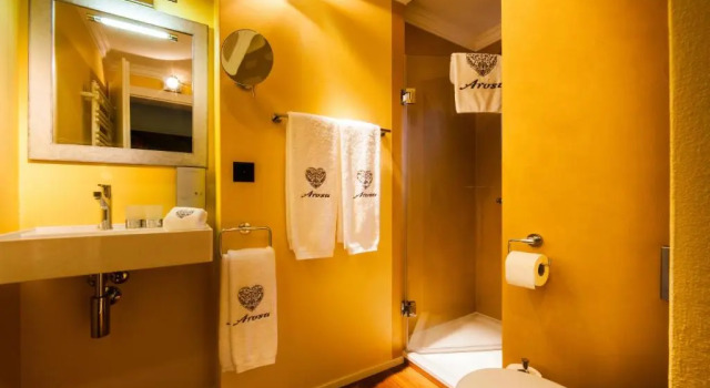 Двухместный номер Standard Home Hotel Arosa