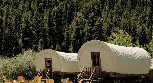 Номер Standard Moose Creek Ranch