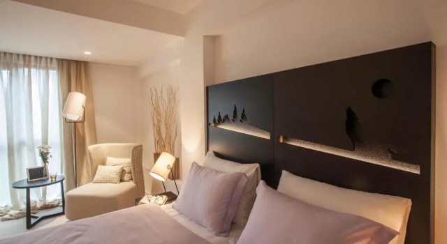 Двухместный номер Superior Hotel Palisad