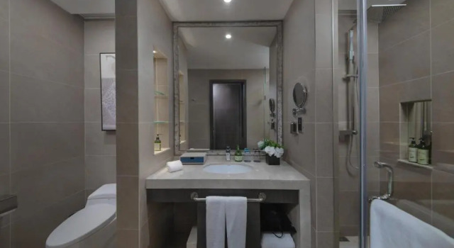 Номер Deluxe Shenyang Huaqiang Novlion Hotel