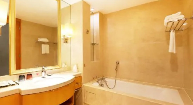Номер Deluxe Qianhu State Guest House