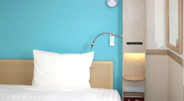 Одноместный номер Premium Plus Toyoko Inn Omori