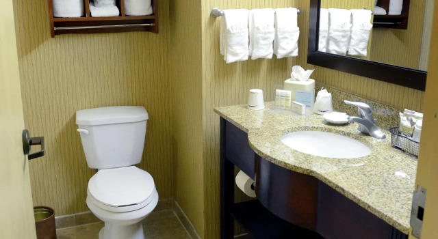 Двухместный номер Standard Hampton Inn & Suites El Paso-Airport