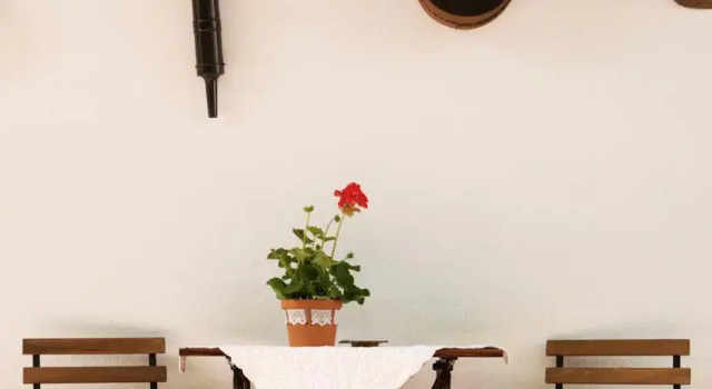 Tulipános Porta és Vendégház, Rezervovat Hotel Gárdony 