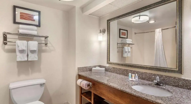Номер Standard Comfort Inn & Suites Athens North