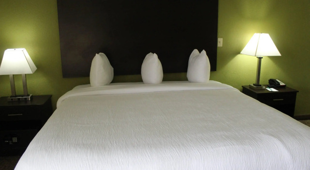 Двухместный номер Standard Quality Inn & Suites University Area