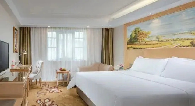 Двухместный семейный люкс Vienna Hotel (Huidong Jilong)