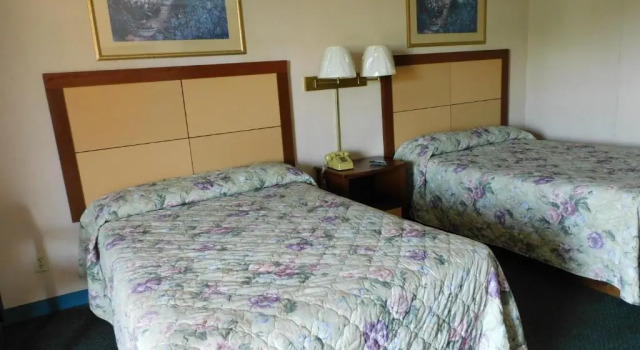 Четырёхместный номер Standard Camilla Inn & Suites