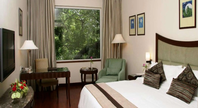 Двухместный номер Superior Muse Sarovar Portico Nehru Place
