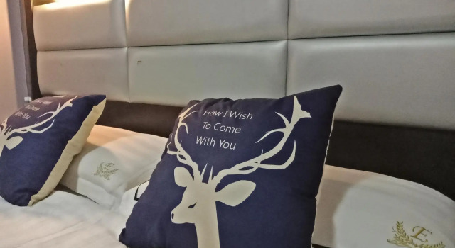Двухместный номер Superior T Hotel Johor Bahru