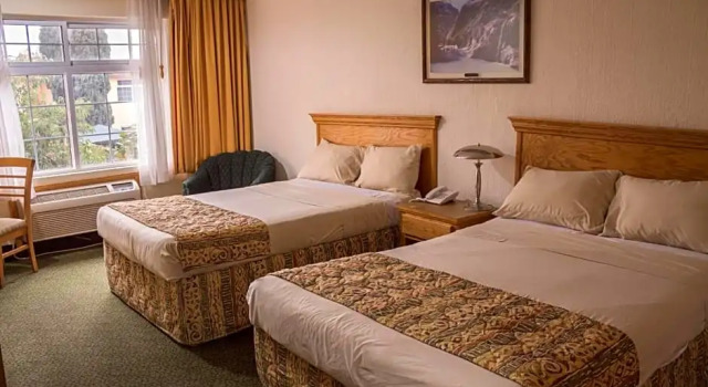 Номер Deluxe Hotel Sicomoro