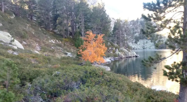 Càmping Riu Gelat