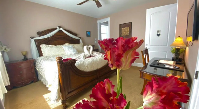 Номер Standard Eagle Rock Bed and Breakfast