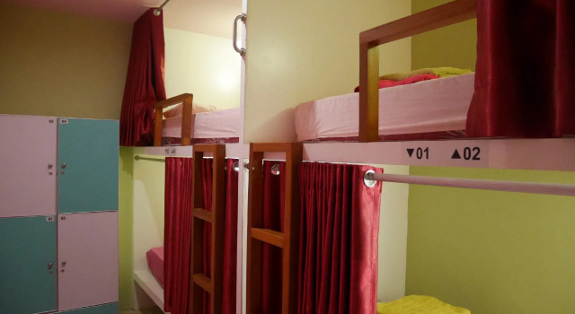 Кровать в общем номере (женский номер) Sleepy Raccoon Hostel