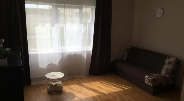 sunny apartment