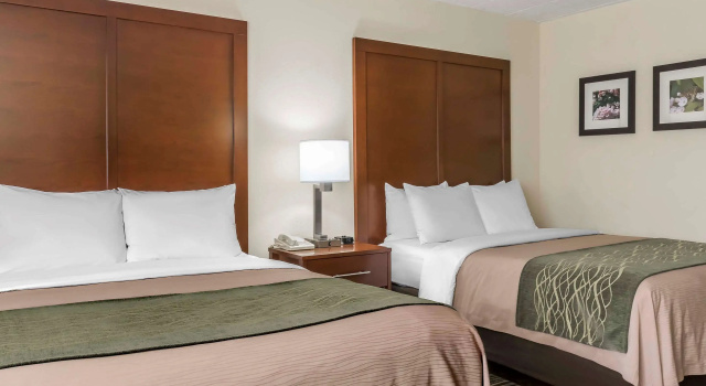 Comfort Inn - Pocono Mountains