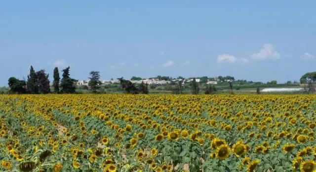 Villa Manet Portiragnes, Rezervovat Vila Portiragnes Canal du Midi