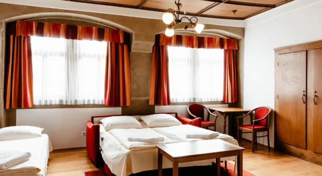 Номер Superior Hotel-Gasthof Goldener Greifen