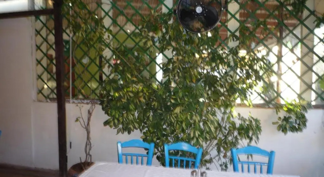 Номер Standard Villa Stylianos retreat