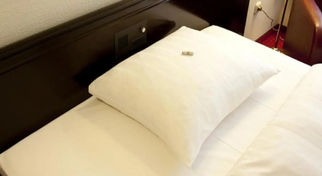 Одноместный номер Standard Sachsenwald Hotel Reinbek