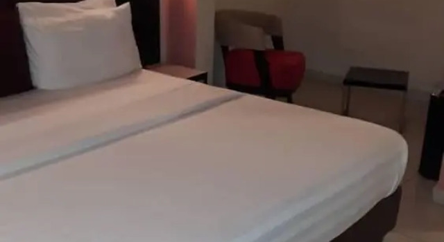 Люкс Business Swisscottage suites