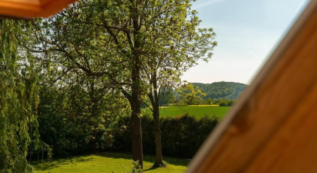 Двухместный номер Standard Hotel Wasserschlößchen