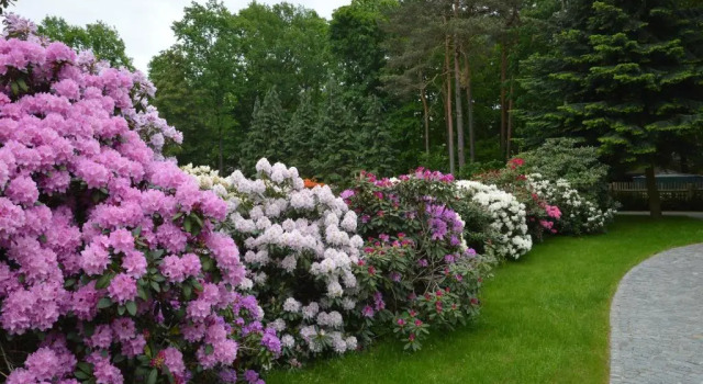 Коттедж Ferienquartier Goethe33
