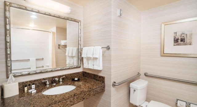 Номер Premium Hilton Garden Inn Hanover Arundel Mills, MD