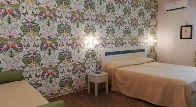 Exécutive double chambre Aramoni B&B