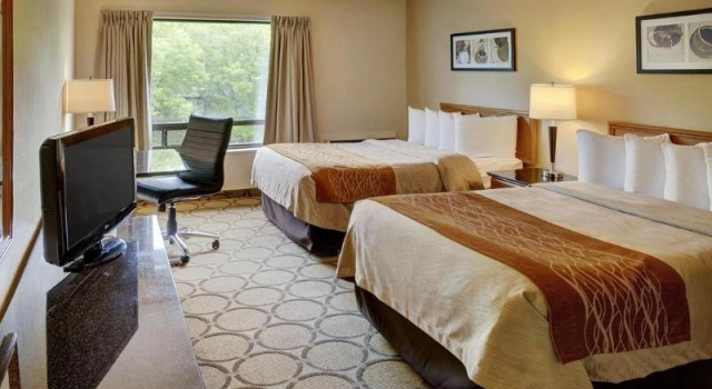 Одноместный номер Standard Comfort Inn Orillia
