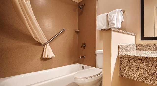 Номер Standard Best Western Palm Court Inn