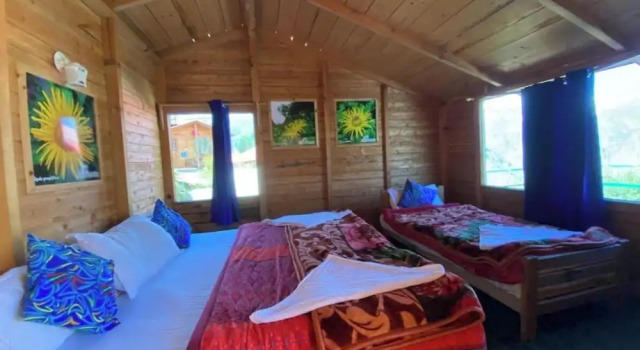 Номер Deluxe Bluepoppy Resort Auli