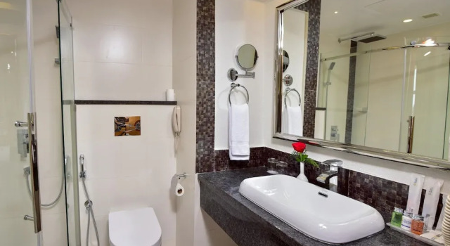 Двухместный номер Deluxe c 1 комнатой с видом на город The Central Residency