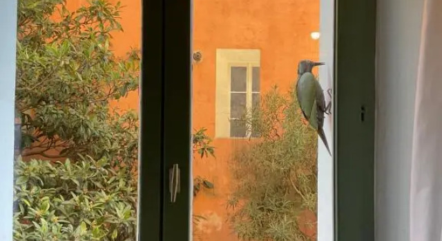 Апартаменты L'oiseau vert appartement de charme au coeur de la Provence