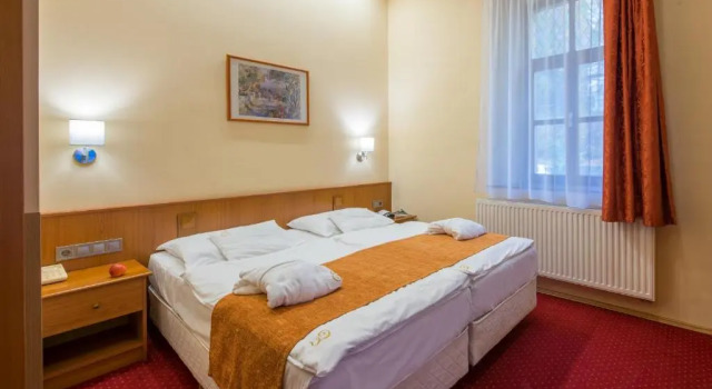Двухместный номер Standard Erzsébet Park Hotel