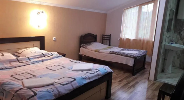 Двухместный номер Standard с красивым видом из окна Martvili Newhotel