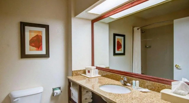 Номер Standard Comfort Suites Northside Hospital Gwinnett
