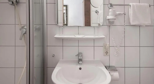 Двухместный номер Standard Hotel Eder