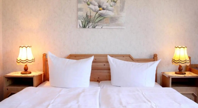 Двухместный номер Standard с видом на горы Hotel SchwarzaBurg