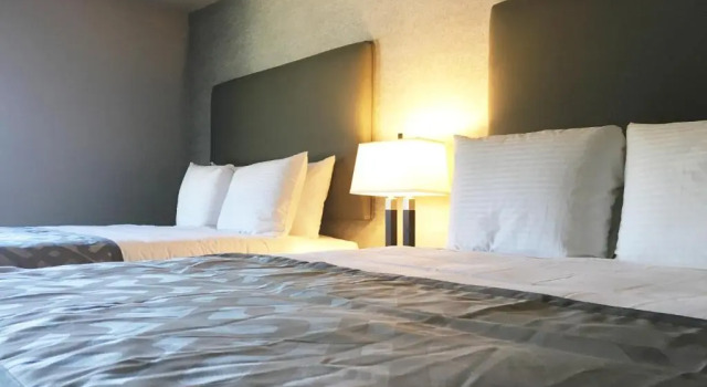 Четырёхместный номер Standard Arden Star Hotel