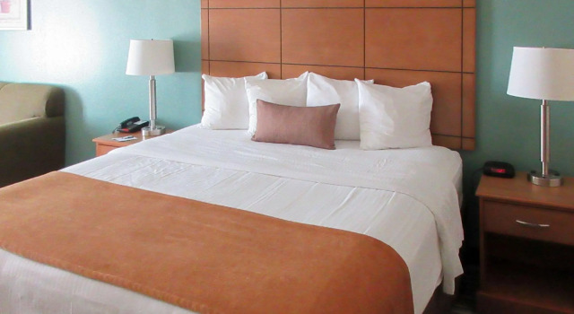 Standard Doppel Zimmer Quality Inn